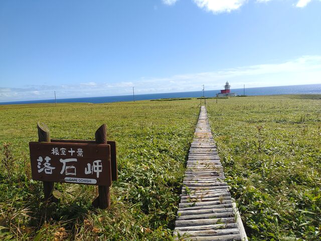 �ؓ�����ł܂�_���Ζ�