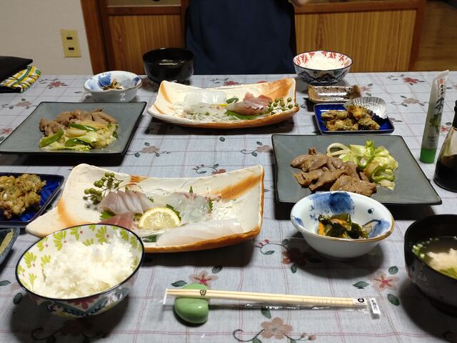 [H̗͊CNCŁAg̃CJɔ_