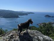 ̂񂳂̃Xgx[t@[̓eʐ^1