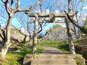 ��������̏��{��Ղ̓��e�ʐ^1