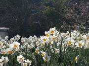 ̂ԒւƐ̗̓eʐ^2