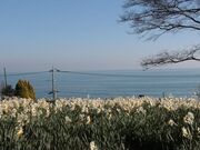 ̂ԒւƐ̗̓eʐ^3