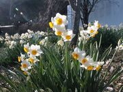 ̂ԒւƐ̗̓eʐ^5