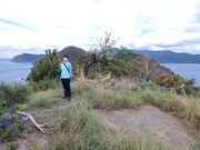 ��������̓��č�̓��e�ʐ^2