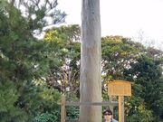 ��������̏�R�����̓��e�ʐ^2