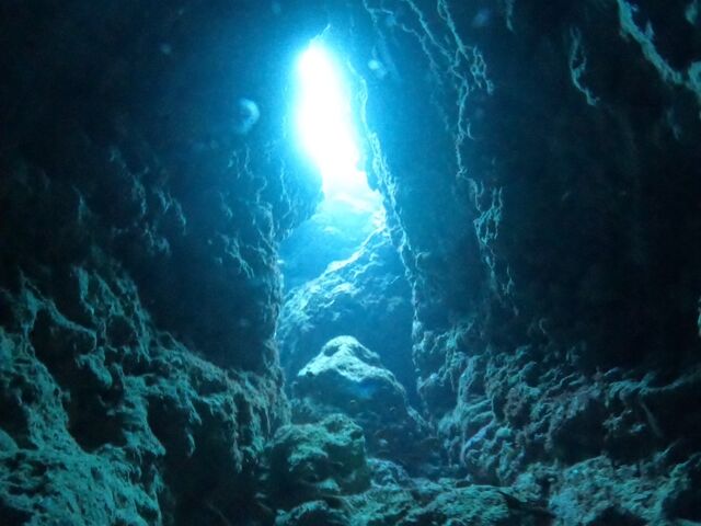 �_�C�u���@_Y'S DIVE OKINAWA