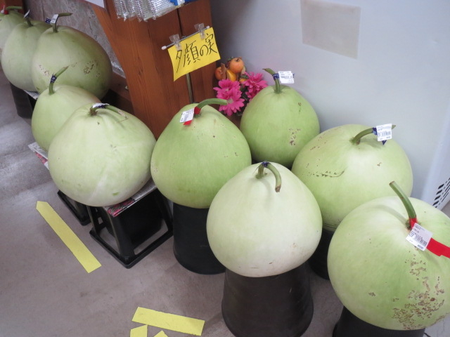 �Y���s�@�������i������_���̉w�݂ԁi�Ƃ��߂��X�e�[�V�����j