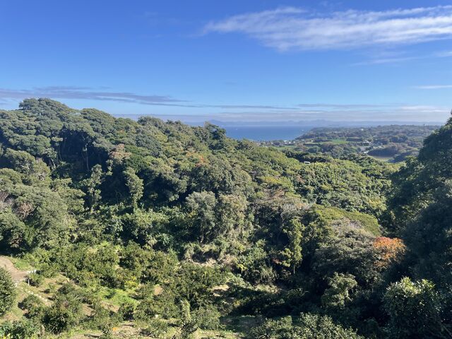 ��t���猩���i�F_�ѓ��݂���