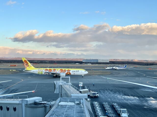 AIRDO �|�P�������R���W�F�b�g_�V��΋�` �W�]�f�b�L