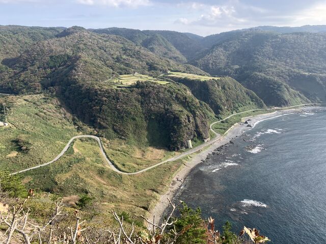 ���T�̎R���܂ŗ��Ȃ��ƌ����Ȃ���i�I�l�͂��̓��𑖂��ė����̂��`_���T