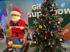 Ђ񂳂̃ShEfBXJo[EZ^[ւ̓eʐ^1