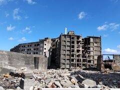 kitty̌R͓RVFWւ̓eʐ^1