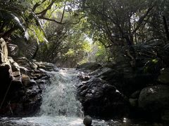 ݂̐Ί_cA[KChI[u[ւ̓eʐ^1