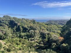 �݂Ȃ݂���̔ѓ��݂��񉀂ւ̓��e�ʐ^1