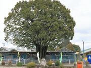 Ƃ񂳂HAMAt[p[NܖE̋̓eʐ^2