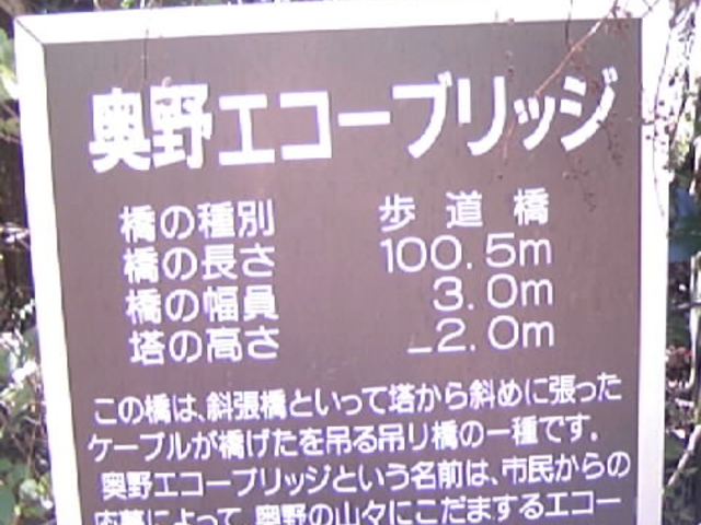 �_���ɂ����������_�����