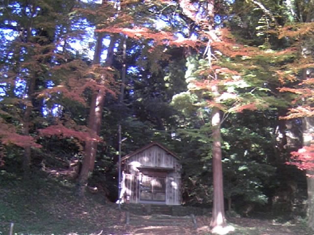 Tv̎R_Ђ̃N̖؂̓eʐ^3