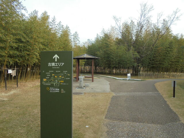 ǑÕ֑UH_̊I ݌ÕQ~[WA