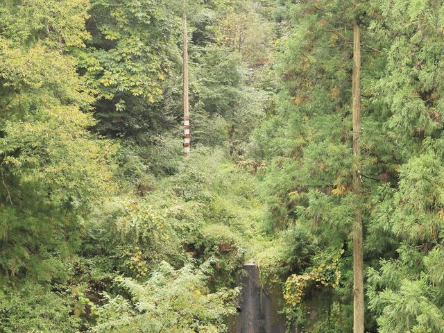 Ƃ񂳂̖{B̂ւ̓eʐ^4