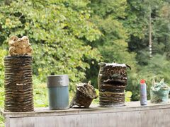 Ƃ񂳂̖{B̂ււ̓eʐ^5