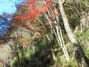 񂳂̗[XkJi[Xj̓eʐ^14