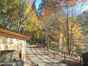 񂳂̗[XkJi[Xj̓eʐ^15