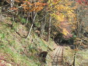 񂳂̗[XkJi[Xj̓eʐ^16