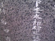 Tv̖؉ۑYuӂ邫ԁv̓eʐ^6