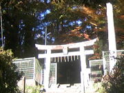 Tv̎R_Ђ̃N̖؂̓eʐ^2