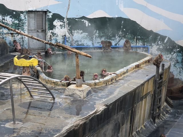 �C�����悳�����`�`_���̐쉷��