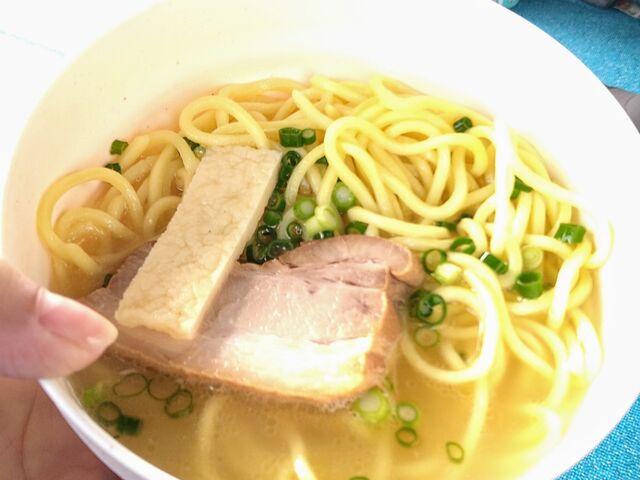 �₦�؂����̂ɔM�X�̔��d�R���ΐ��݂܂����[�I_Kahoo_ishigaki