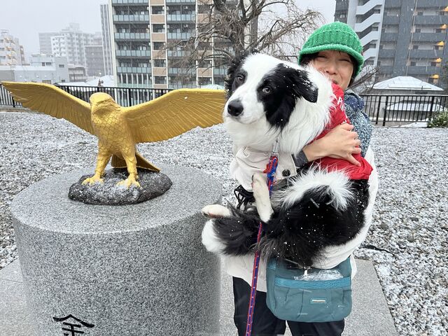 ���c�{_���c�{