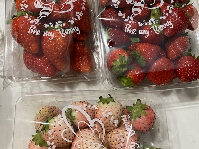 �Â��[_�ό��_�� Bee my Berry