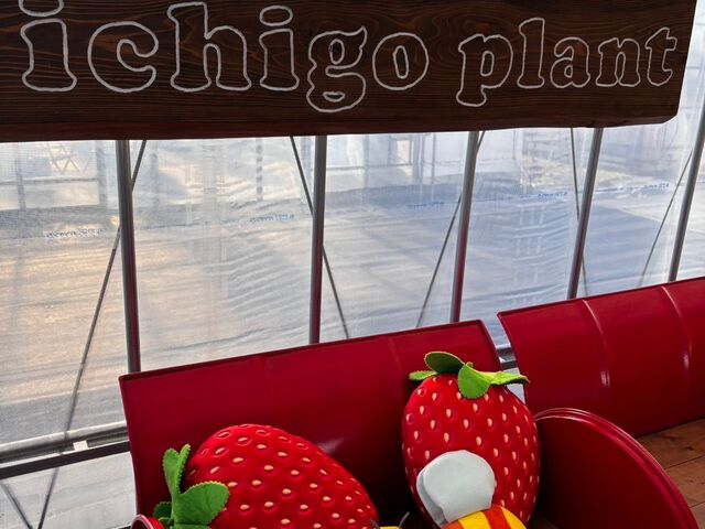 ��t�̉��ɂ͎ʐ^�X�|�b�g��_������ �Ղ��� -ichigo plant-