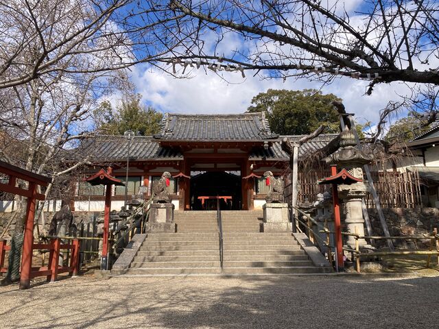 �X���_��_�X���_��