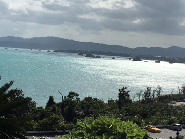 ��肭�B��Ȃ�����
�̂ł����_�̊Ԃ������������
�n���҂������܂����B
_�ÉF���r�[�`