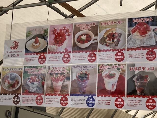 �C�[�g�C�����j���[_�����݂̗��������̉�