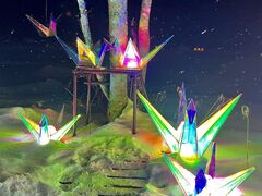 �C�J�r������̈��䗢�@�܂ق���ւ̓��e�ʐ^1