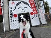 4l̂[񂳂̑yЋ{̓eʐ^1