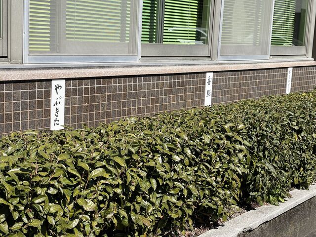 �`���m�L���g�����A��_nonki tour