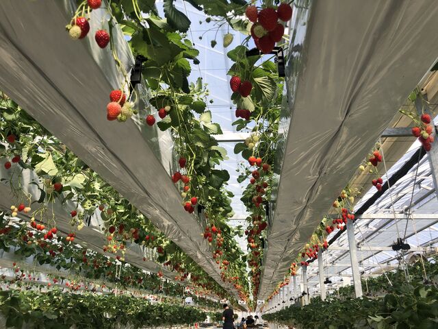 ��������̂���������_�t�@�[������� �É͓X