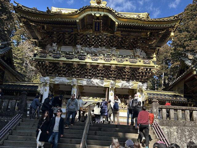 ��͂蓌�Ƌ{�͓�����Ă��܂�����_�S�{��