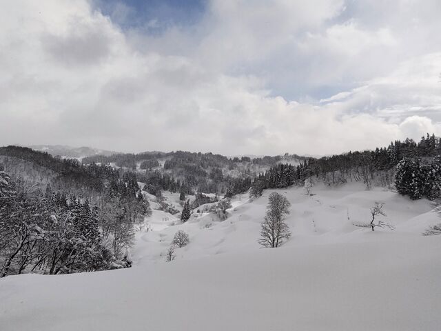 ̒̊̒Ic_HOME HOME NIIGATA