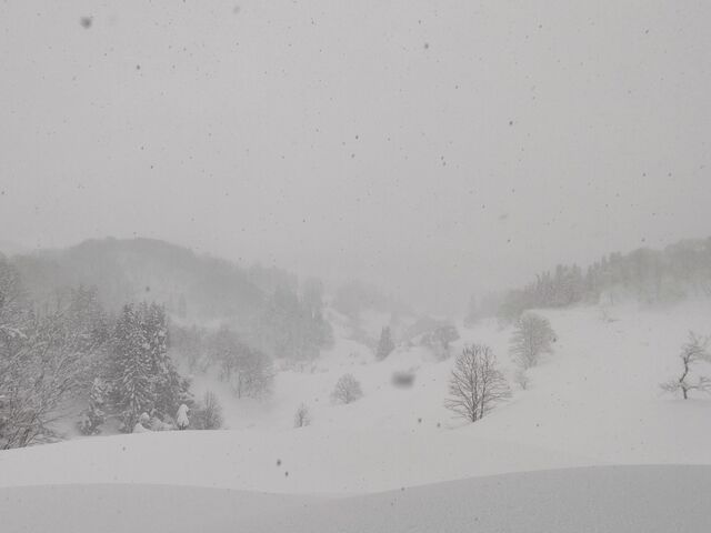 ɂȂ܂B͂ŕ͋C܂B_HOME HOME NIIGATA