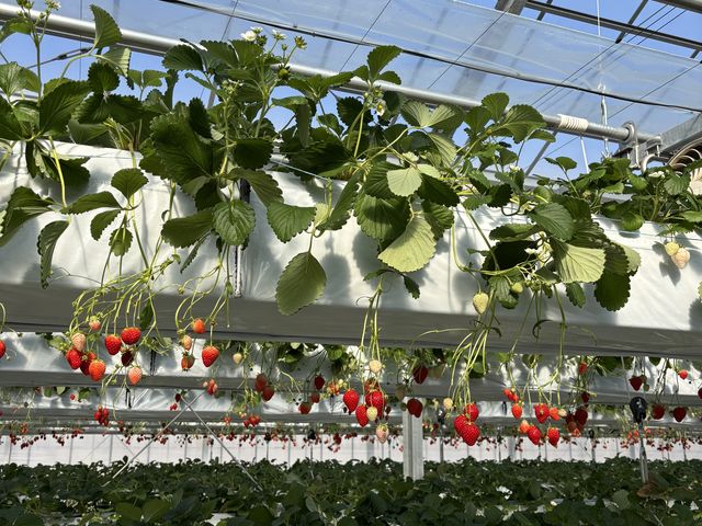 ������_�t�@�[������� �É͓X