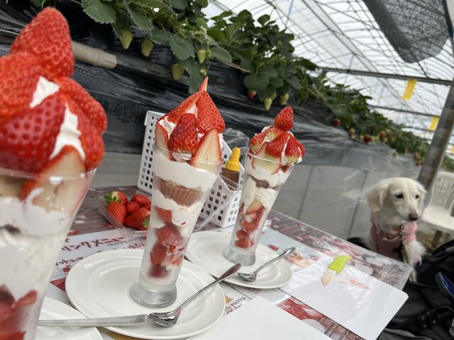 SĉB9ȏoオptFoĂ܂B_ނ炿_