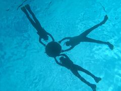 NP̐Ί_ ADVENTURE PiPiւ̓eʐ^1