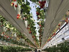 ̃t@[ É͓Xւ̓eʐ^1