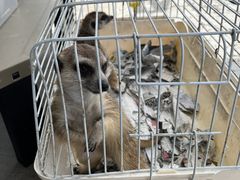 łق̂ӂꂠ̌^EybgVbv IXJ['sւ̓eʐ^2