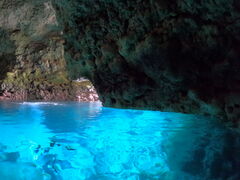 悵̐̓AJiT_CrOւ̓eʐ^1